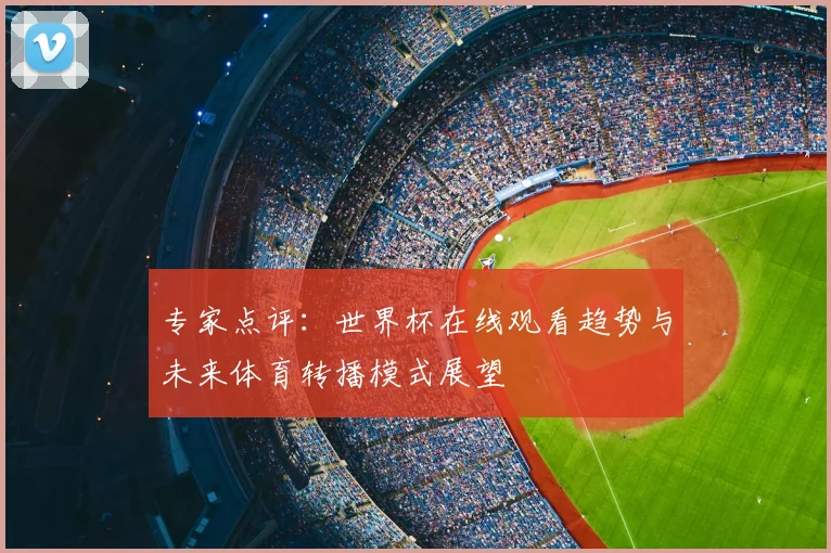 专家点评：世界杯在线观看趋势与未来体育转播模式展望