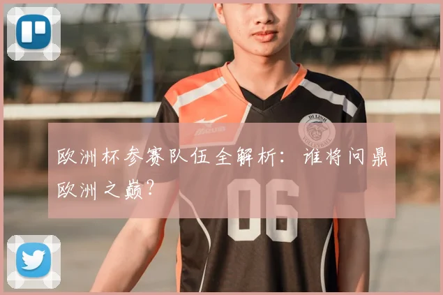 欧洲杯参赛队伍全解析：谁将问鼎欧洲之巅？