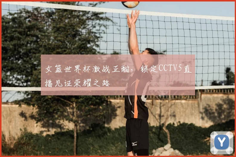 女篮世界杯激战正酣，锁定CCTV5直播见证荣耀之路