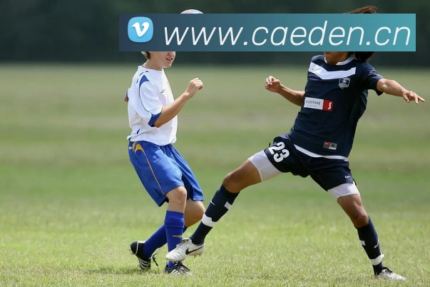 多媒体互动体验